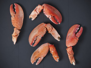 Lobster Claws Cooked Modello 3D