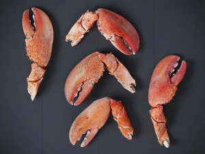 Lobster Claws Cooked 3D Model