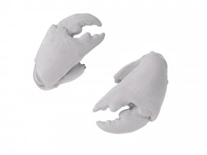 Stone Crab Claws 3D Model