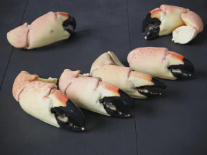 Stone Crab Claws 3D Model