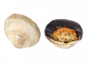 Stuffed Clams Modello 3D