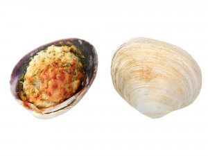 Stuffed Clams Modello 3D
