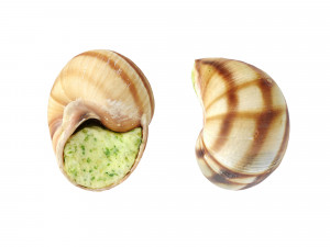 Escargots 3D-Modell