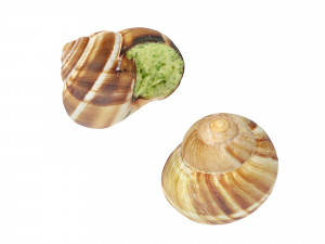 Escargots 3D-Modell