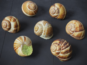 Escargots 3D-Modell