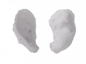 Half Shell Oysters 3D-Modell