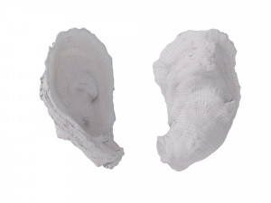 Half Shell Oysters 3D-Modell