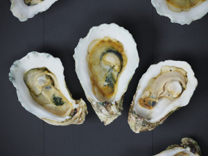 Half Shell Oysters 3D-Modell