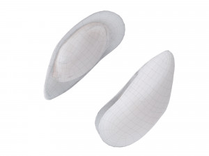 Mussel Green Shell Model 3D