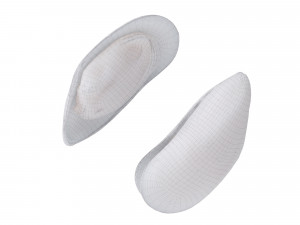 Mussel Green Shell Model 3D