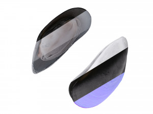 Mussel Green Shell Model 3D