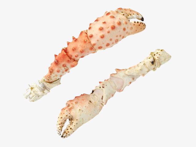 King Crab Legs and Claws 3D Model .c4d .max .obj .3ds .fbx .stl .blend 