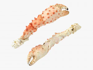 Pernas e garras do caranguejo real Modelo 3D