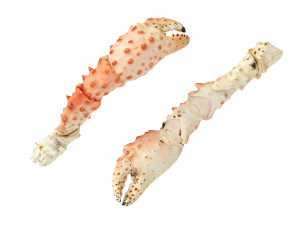 King Crab Legs and Claws 3D Model
