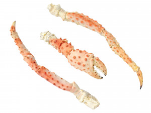 King Crab Legs and Claws 3D Model