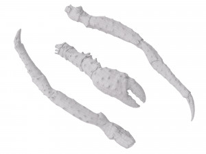 King Crab Legs and Claws 3D Model