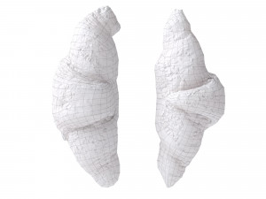 Multigrain Croissant croissant Modelo 3D