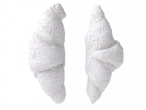 Multigrain Croissant croissant 3D Model