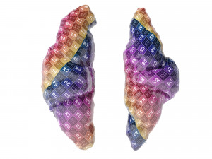 Multigrain Croissant croissant Modelo 3D