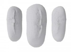 イタリアパン 3Dモデル