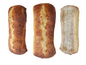Ciabatta Bread Modello 3D