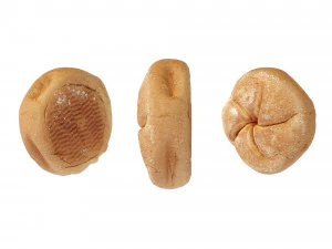 Булочки Кайзер 3D Модель