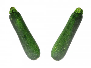Zucchini 3D Model