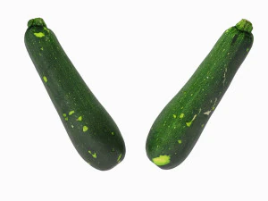 Zucchini 3D Model