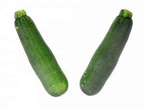 Zucchini 3D Model