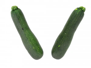 Zucchini 3D Model