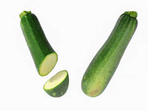 Zucchini 3D Model