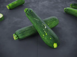 Zucchini 3D Model