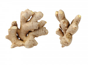 Ginger 3D मॉडल