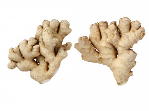 Ginger 3D मॉडल