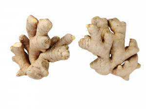 Ginger 3D मॉडल
