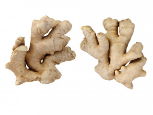 Ginger 3D मॉडल