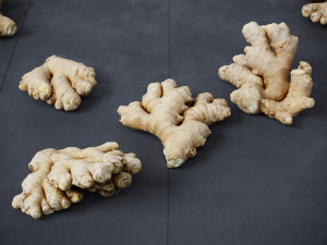 Ginger 3D मॉडल
