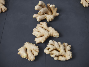 Ginger 3D मॉडल