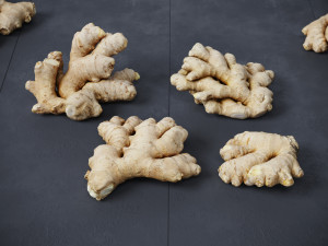 Ginger 3D मॉडल
