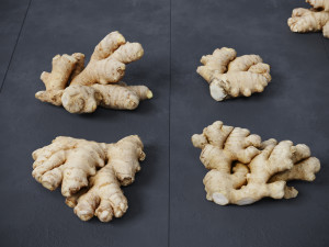 Ginger 3D मॉडल