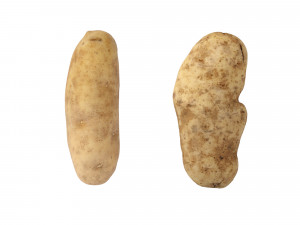 Potatoes 01 3D Model