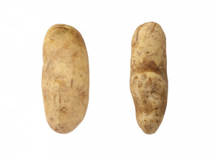 Potatoes 01 3D Model