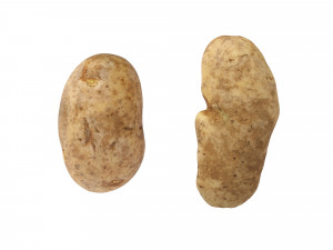 Potatoes 01 3D Model