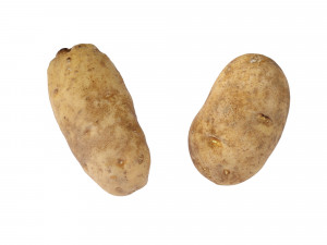 Potatoes 01 3D Model