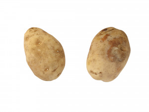 Potatoes 01 3D Model