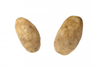Potatoes 01 3D Model