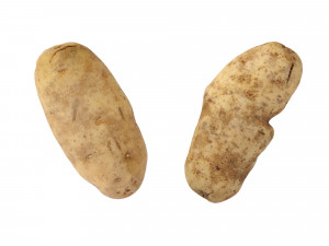 Potatoes 01 3D Model