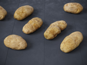 Potatoes 01 3D Model