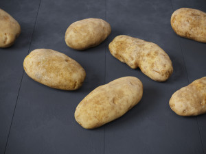 Potatoes 01 3D Model