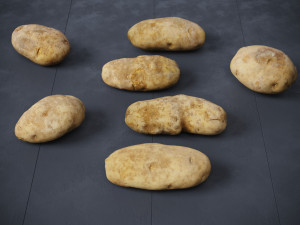 Potatoes 01 3D Model